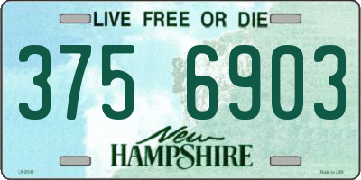NH license plate 3756903