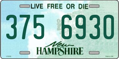 NH license plate 3756930