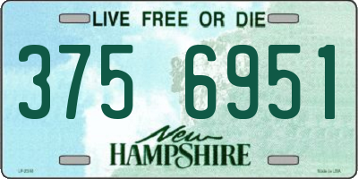 NH license plate 3756951