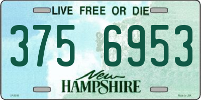 NH license plate 3756953