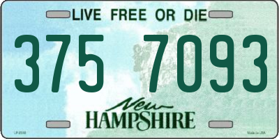NH license plate 3757093
