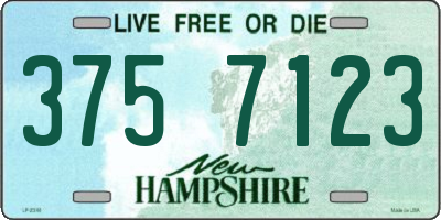 NH license plate 3757123