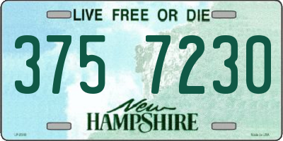 NH license plate 3757230