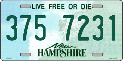 NH license plate 3757231