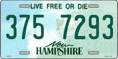 NH license plate 3757293