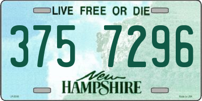 NH license plate 3757296