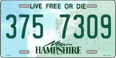 NH license plate 3757309