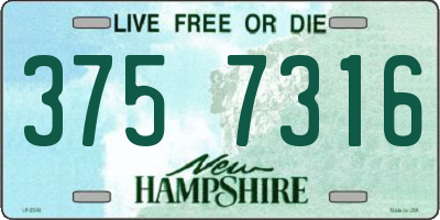 NH license plate 3757316
