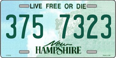 NH license plate 3757323
