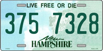 NH license plate 3757328
