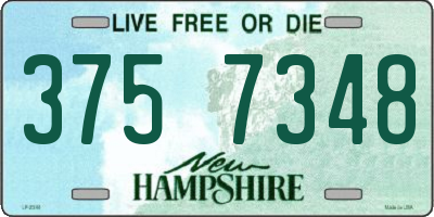 NH license plate 3757348