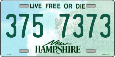 NH license plate 3757373