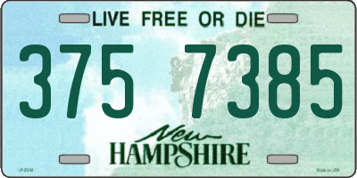 NH license plate 3757385