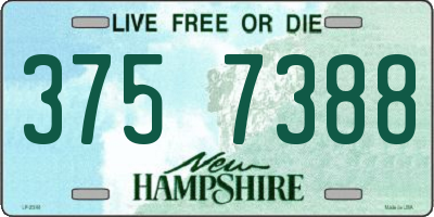 NH license plate 3757388