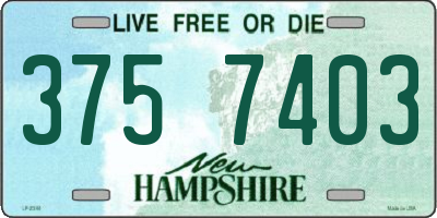 NH license plate 3757403