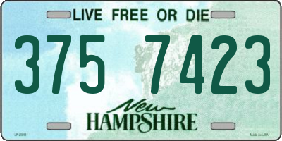 NH license plate 3757423