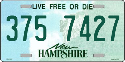 NH license plate 3757427