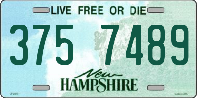 NH license plate 3757489