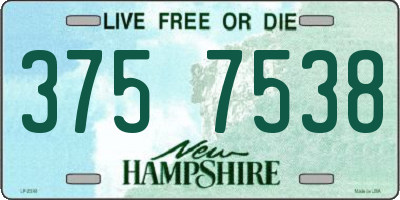 NH license plate 3757538
