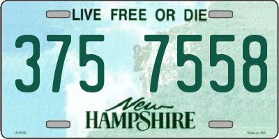 NH license plate 3757558