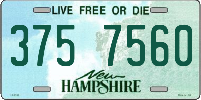 NH license plate 3757560