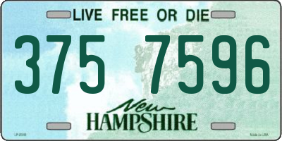 NH license plate 3757596