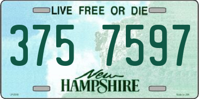 NH license plate 3757597
