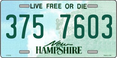 NH license plate 3757603