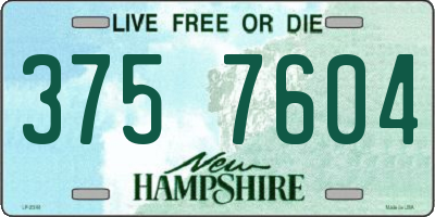 NH license plate 3757604