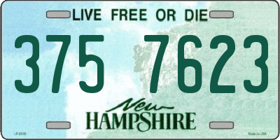 NH license plate 3757623