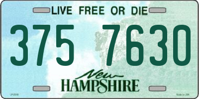 NH license plate 3757630