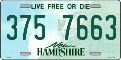 NH license plate 3757663