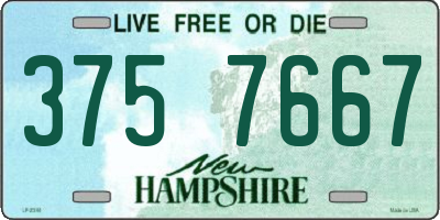 NH license plate 3757667