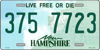 NH license plate 3757723