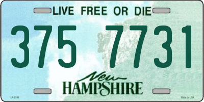 NH license plate 3757731