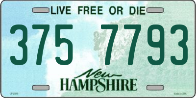 NH license plate 3757793