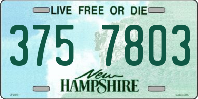 NH license plate 3757803