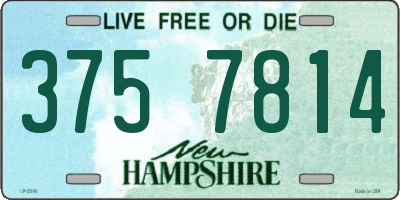 NH license plate 3757814