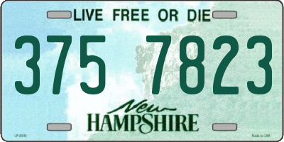 NH license plate 3757823
