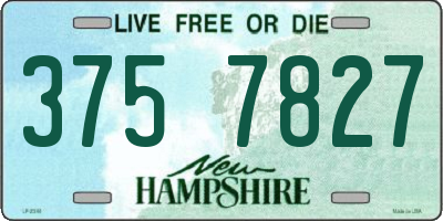NH license plate 3757827