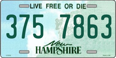 NH license plate 3757863