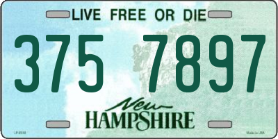 NH license plate 3757897