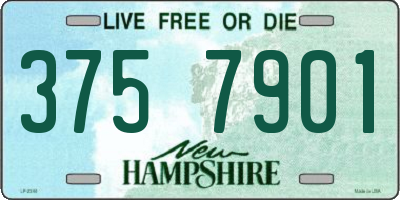 NH license plate 3757901
