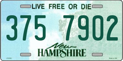 NH license plate 3757902