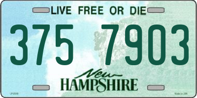 NH license plate 3757903