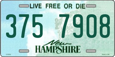 NH license plate 3757908