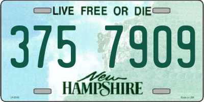 NH license plate 3757909