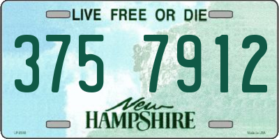 NH license plate 3757912