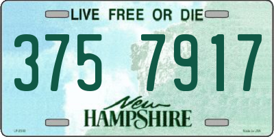 NH license plate 3757917