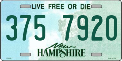 NH license plate 3757920